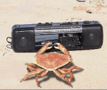 Crabs Dance